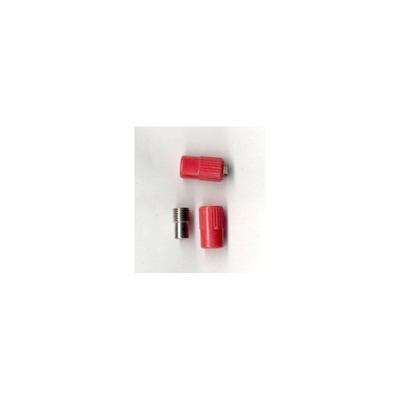 SPINA GRANDE FEMMINA ROSSA RIVAROSSI