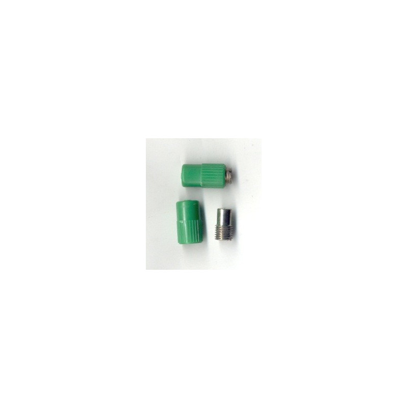 SPINA GRANDE FEMMINA VERDE RIVAROSSI SPINA GRANDE FEMMINA VERDE RIVAROSSI