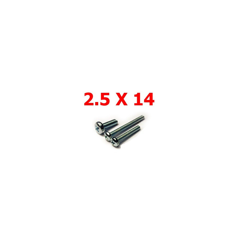 Viti Cilindriche t.croce 2,5x10 Viti Cilindriche t.croce 2,5x10