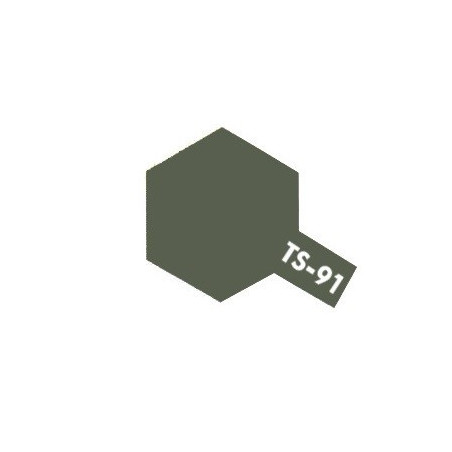 TS90 BROWN (JGDF)  TAMIYA