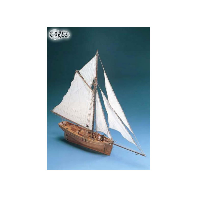 DISEGNI COSTRUTTIVI SHENANDOAH