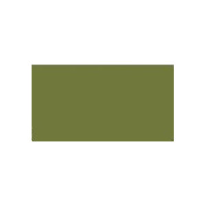 UA005  OLIVE DRAB 41  LIFECOLOR
