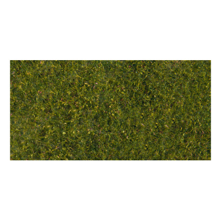 FOGLIAME PER PRATO VERDE MEDIO