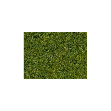 ERBA VERDE MEDIO XL 12mm