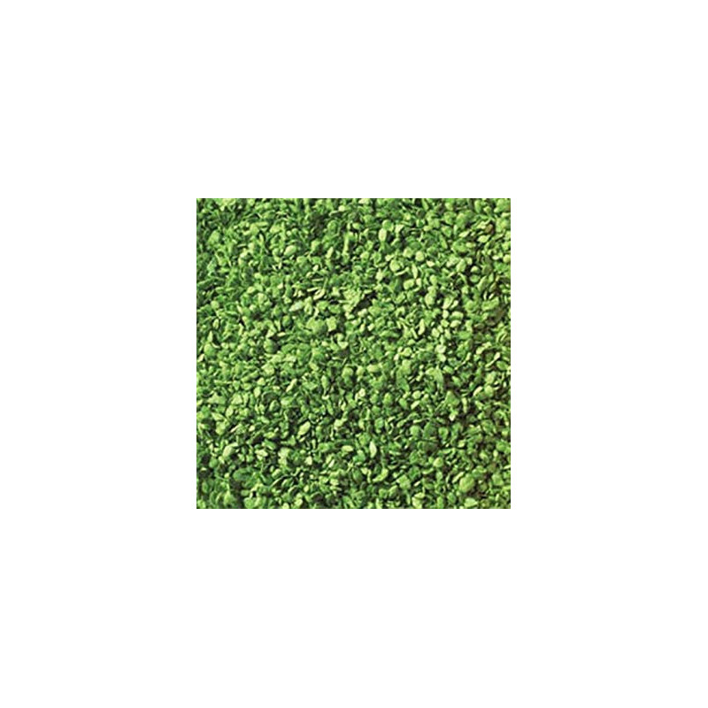 Fogliame verde chiaro, 50 g