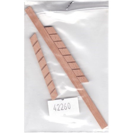 SCALETTA DA MONTARE 2,5x5x40mm