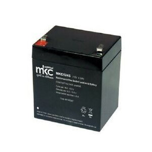 BATTERIA AL PIOMBO 2V
