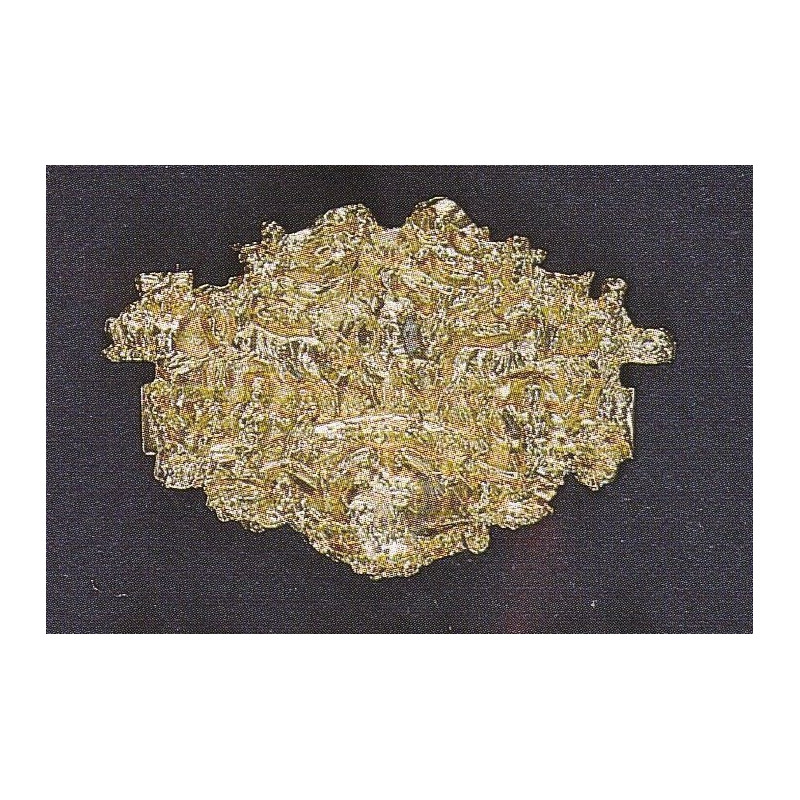 BLASONE GRANDE REALE DE FRANCE