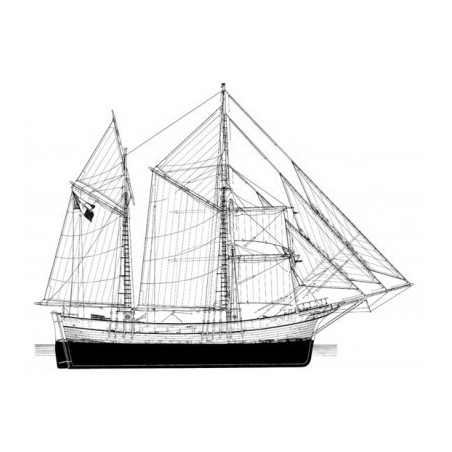 DISEGNO COSTRUTTIVO PINCIO A GABBIOLA