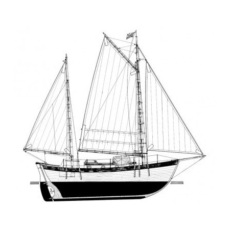 DISEGNO COSTRUTTIVO BONACCIA