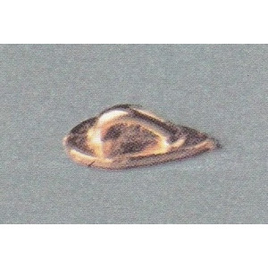 PASSACAVO CHIUSO 14mm