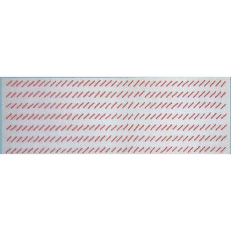 BANDIERE GRAN PAVESE