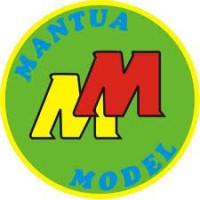 RICAMBI AUTOMODELLI MANTUA MODEL
