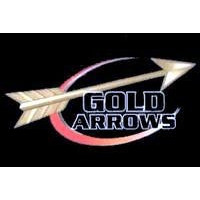 GOLD ARROWS