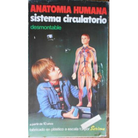 SISTEMA CIRCOLATORIO