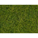 ERBA VERDE MEDIO XL 12mm