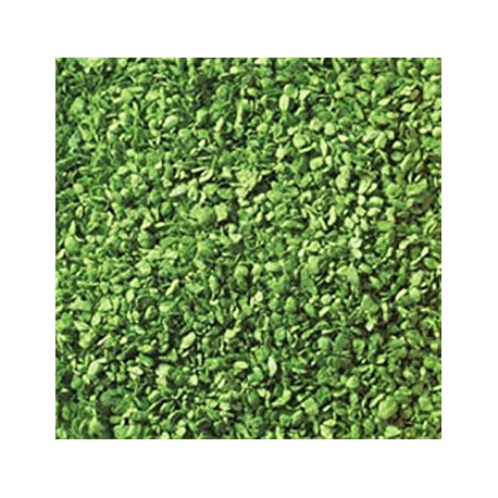 Fogliame verde chiaro, 50 g