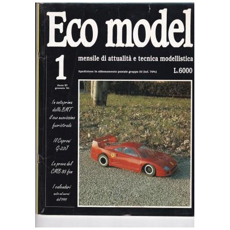 ECO MODEL 1/91