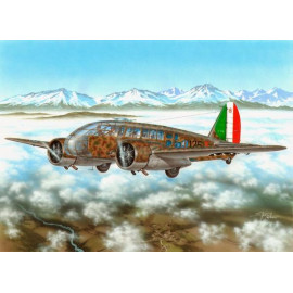 Caproni Ca.311