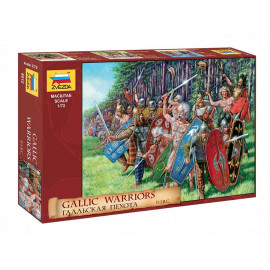 Gallic Infantry