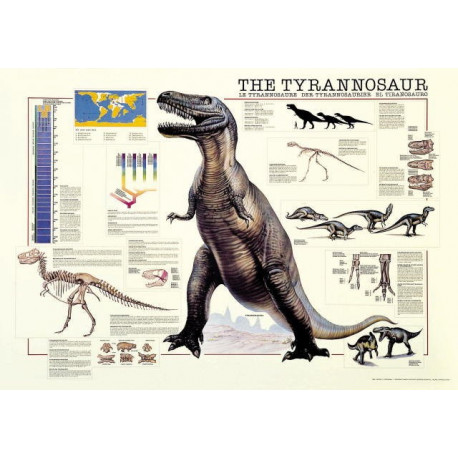 THE TYRANNOSAUR - 1000PZ