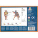 Roman Infantry - Caesar's Wars