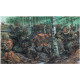 German elite troops