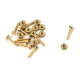 VITE IN OTTONE 1x5